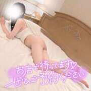 ヒメ日記 2025/10/10 10:45 投稿 成瀬 ゆいな YUDEN～油殿～堺東店