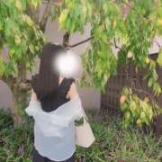 ヒメ日記 2025/10/12 13:26 投稿 成瀬 ゆいな YUDEN～油殿～堺東店