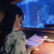 ヒメ日記 2025/11/01 20:54 投稿 成瀬 ゆいな YUDEN～油殿～堺東店