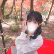 ヒメ日記 2025/11/15 19:31 投稿 成瀬 ゆいな YUDEN～油殿～堺東店