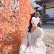 ヒメ日記 2025/11/21 07:00 投稿 成瀬 ゆいな YUDEN～油殿～堺東店