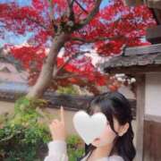 ヒメ日記 2025/11/23 14:27 投稿 成瀬 ゆいな YUDEN～油殿～堺東店