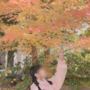 ヒメ日記 2025/12/13 22:45 投稿 成瀬 ゆいな YUDEN～油殿～堺東店