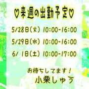 小栗しゅう 来週の出勤予定です? ABC 岩手ソープ