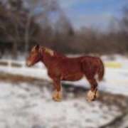 ヒメ日記 2025/01/19 21:31 投稿 小栗しゅう ABC 岩手ソープ