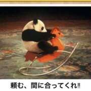 ヒメ日記 2025/01/22 07:31 投稿 小栗しゅう ABC 岩手ソープ