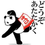 ヒメ日記 2025/02/12 07:31 投稿 小栗しゅう ABC 岩手ソープ