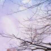 ヒメ日記 2025/04/06 21:46 投稿 小栗しゅう ABC 岩手ソープ