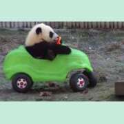 ヒメ日記 2025/04/08 07:31 投稿 小栗しゅう ABC 岩手ソープ