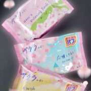 ヒメ日記 2025/04/14 11:01 投稿 小栗しゅう ABC 岩手ソープ