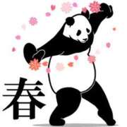 ヒメ日記 2025/04/18 07:31 投稿 小栗しゅう ABC 岩手ソープ