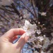 ヒメ日記 2025/04/19 10:01 投稿 小栗しゅう ABC 岩手ソープ