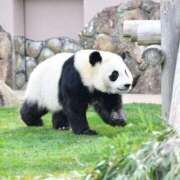 ヒメ日記 2025/05/14 07:31 投稿 小栗しゅう ABC 岩手ソープ