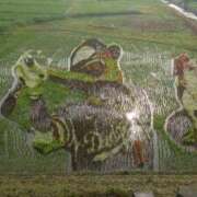 ヒメ日記 2025/06/30 20:46 投稿 小栗しゅう ABC 岩手ソープ