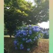 ヒメ日記 2025/07/01 06:16 投稿 小栗しゅう ABC 岩手ソープ