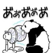 ヒメ日記 2025/07/01 07:46 投稿 小栗しゅう ABC 岩手ソープ