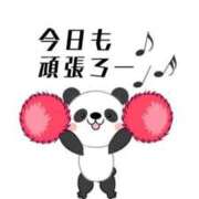 ヒメ日記 2025/07/29 07:31 投稿 小栗しゅう ABC 岩手ソープ