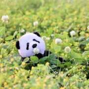 ヒメ日記 2025/08/04 07:31 投稿 小栗しゅう ABC 岩手ソープ