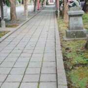 ヒメ日記 2025/10/11 15:01 投稿 小栗しゅう ABC 岩手ソープ