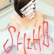 ヒメ日記 2025/02/20 05:25 投稿 しほ 栃木宇都宮ちゃんこ