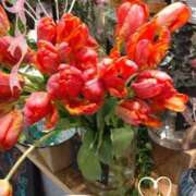 ヒメ日記 2024/12/08 11:56 投稿 さあら 奥様はエンジェル　町田店