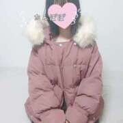 ヒメ日記 2024/12/10 08:10 投稿 たんぽぽ フォーシーズン