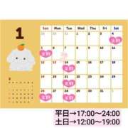 ヒメ日記 2024/12/16 22:08 投稿 たんぽぽ フォーシーズン