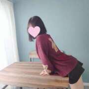 ヒメ日記 2024/12/18 08:08 投稿 たんぽぽ フォーシーズン