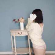 ヒメ日記 2024/12/19 22:18 投稿 たんぽぽ フォーシーズン