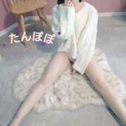 ヒメ日記 2024/12/22 22:08 投稿 たんぽぽ フォーシーズン