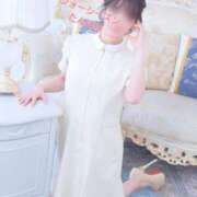 ヒメ日記 2025/01/17 22:08 投稿 たんぽぽ フォーシーズン