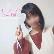 ヒメ日記 2025/02/12 22:18 投稿 たんぽぽ フォーシーズン