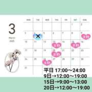 ヒメ日記 2025/02/17 22:18 投稿 たんぽぽ フォーシーズン