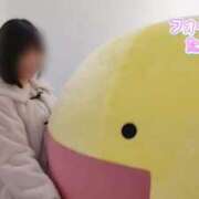 ヒメ日記 2025/02/19 22:08 投稿 たんぽぽ フォーシーズン