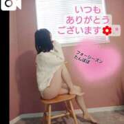 ヒメ日記 2025/03/09 22:08 投稿 たんぽぽ フォーシーズン