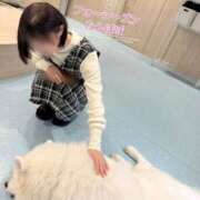 ヒメ日記 2025/03/11 22:18 投稿 たんぽぽ フォーシーズン