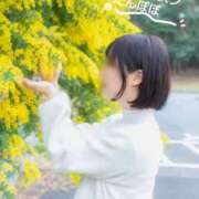 ヒメ日記 2025/03/14 22:08 投稿 たんぽぽ フォーシーズン