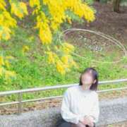 ヒメ日記 2025/03/15 07:18 投稿 たんぽぽ フォーシーズン