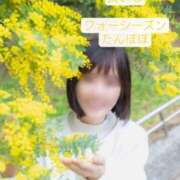 ヒメ日記 2025/03/16 22:08 投稿 たんぽぽ フォーシーズン