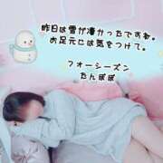 ヒメ日記 2025/03/20 07:18 投稿 たんぽぽ フォーシーズン