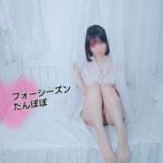 ヒメ日記 2025/03/23 22:08 投稿 たんぽぽ フォーシーズン