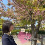 ヒメ日記 2025/03/27 22:18 投稿 たんぽぽ フォーシーズン