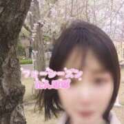 ヒメ日記 2025/04/02 20:18 投稿 たんぽぽ フォーシーズン