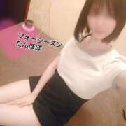 ヒメ日記 2025/04/09 22:08 投稿 たんぽぽ フォーシーズン