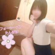 ヒメ日記 2025/04/13 22:08 投稿 たんぽぽ フォーシーズン