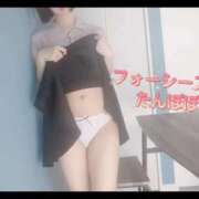 ヒメ日記 2025/04/16 22:18 投稿 たんぽぽ フォーシーズン