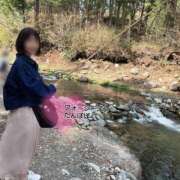 ヒメ日記 2025/04/21 22:08 投稿 たんぽぽ フォーシーズン