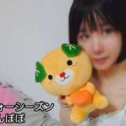 ヒメ日記 2025/04/28 22:08 投稿 たんぽぽ フォーシーズン