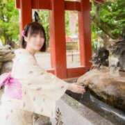 ヒメ日記 2025/04/30 22:18 投稿 たんぽぽ フォーシーズン