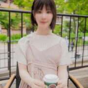 ヒメ日記 2025/05/01 07:08 投稿 たんぽぽ フォーシーズン